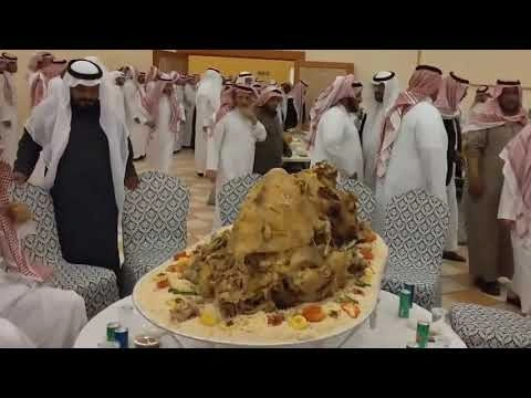 A whole stuffed camel