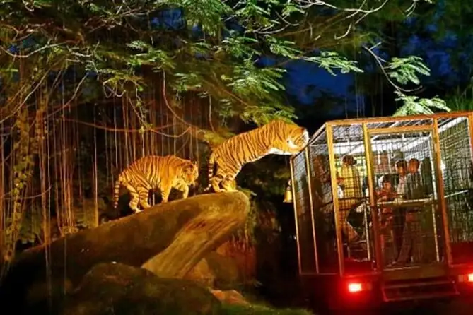 Singapore Zoo & Night Safari
