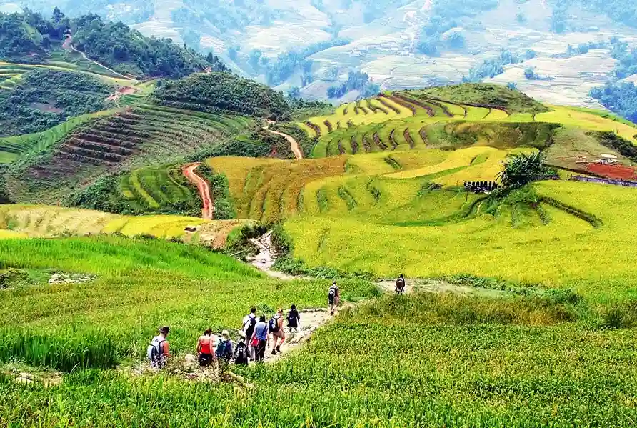 Treking in Northern Vietnam