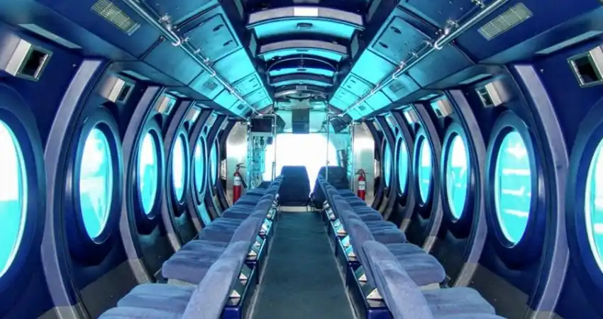 Whale Submarine Rides